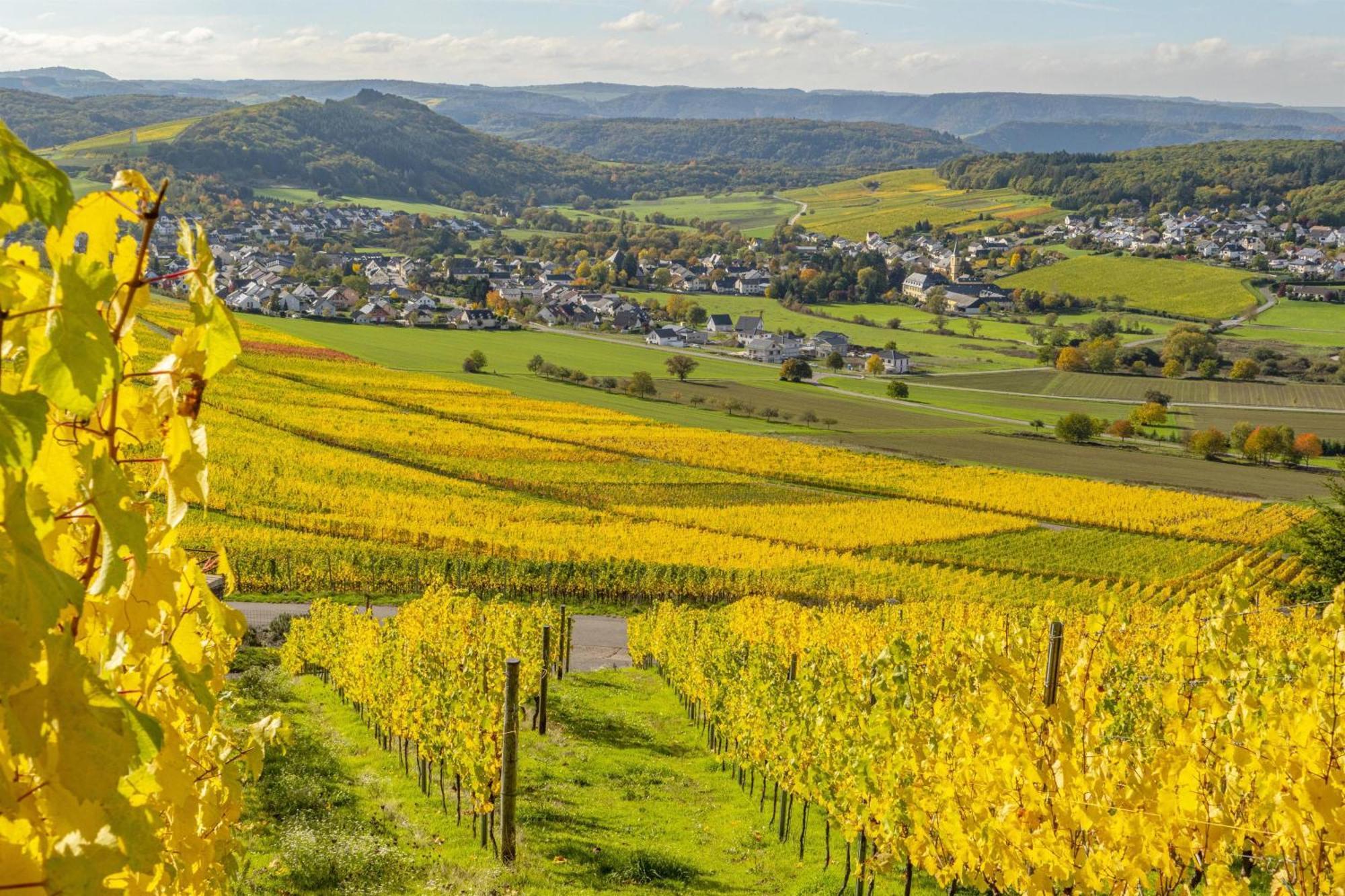 Appartement Weingut-ferienwohnungen Lorenz *