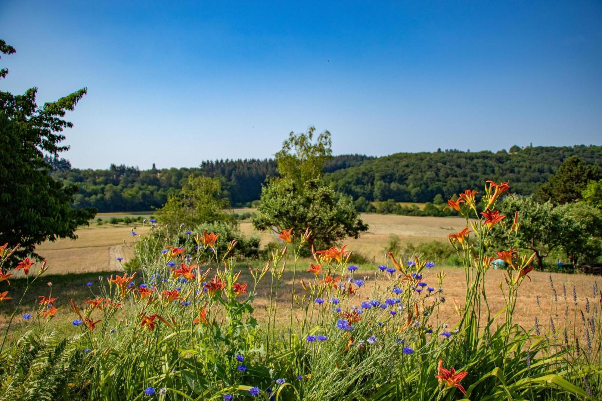 Weingut-ferienwohnungen Lorenz *