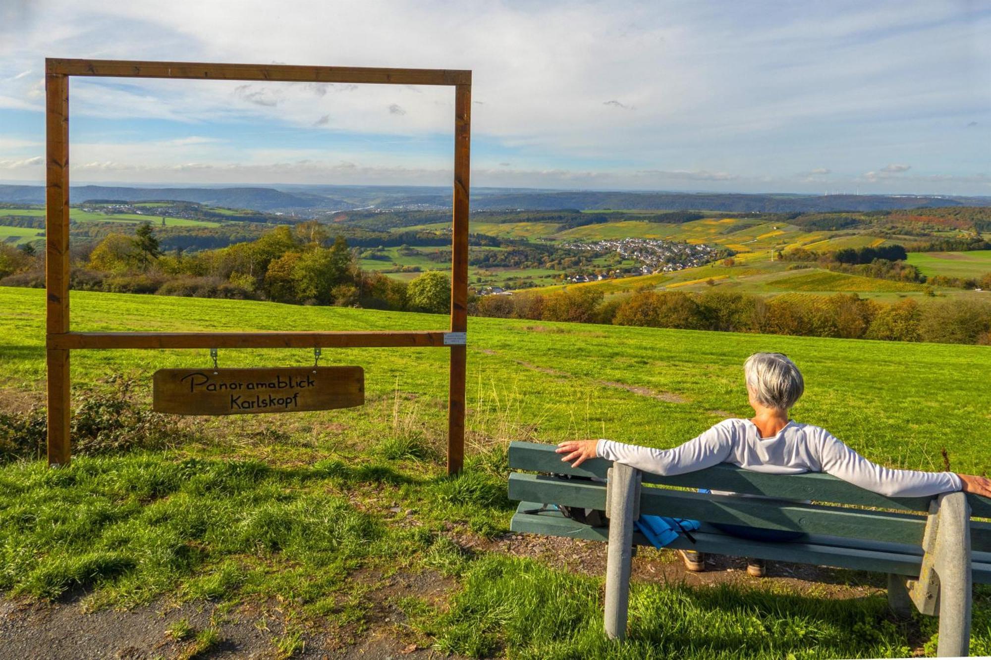 Weingut-ferienwohnungen Lorenz Appartement