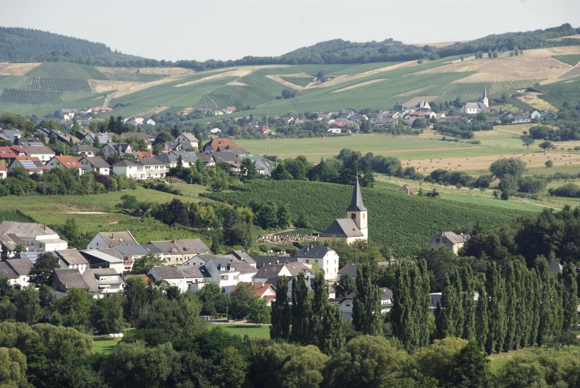 Appartement Weingut-ferienwohnungen Lorenz
